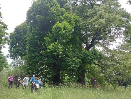 Kulturno popotovanje po Vorančevi poti (24)